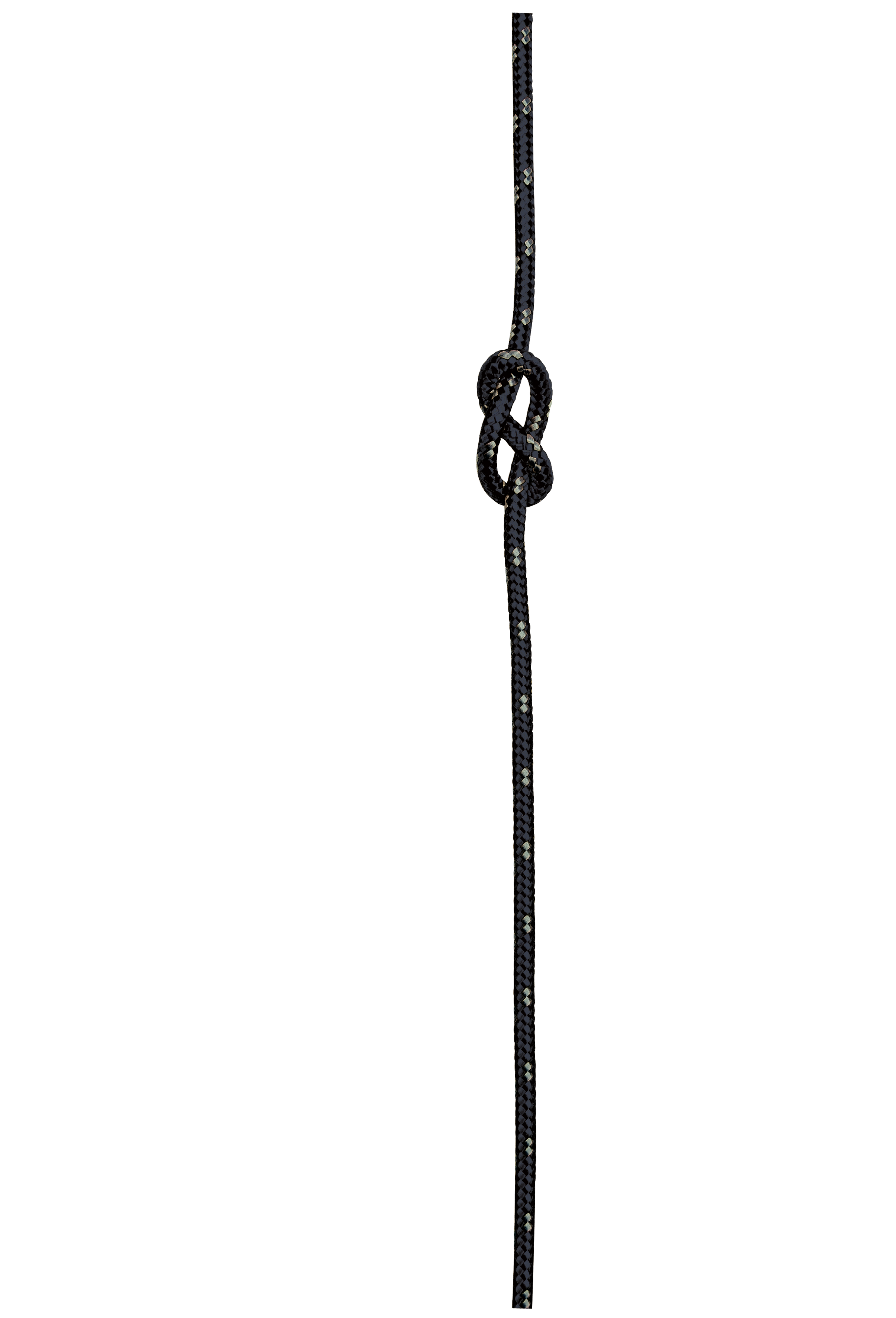 CORD 6.0
