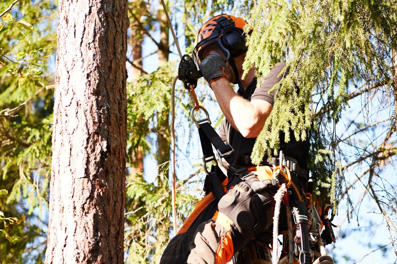 Kletterausrüstung, Klettergurt, Klettergurt mit Sicherheitsgurt, Helm, Seil