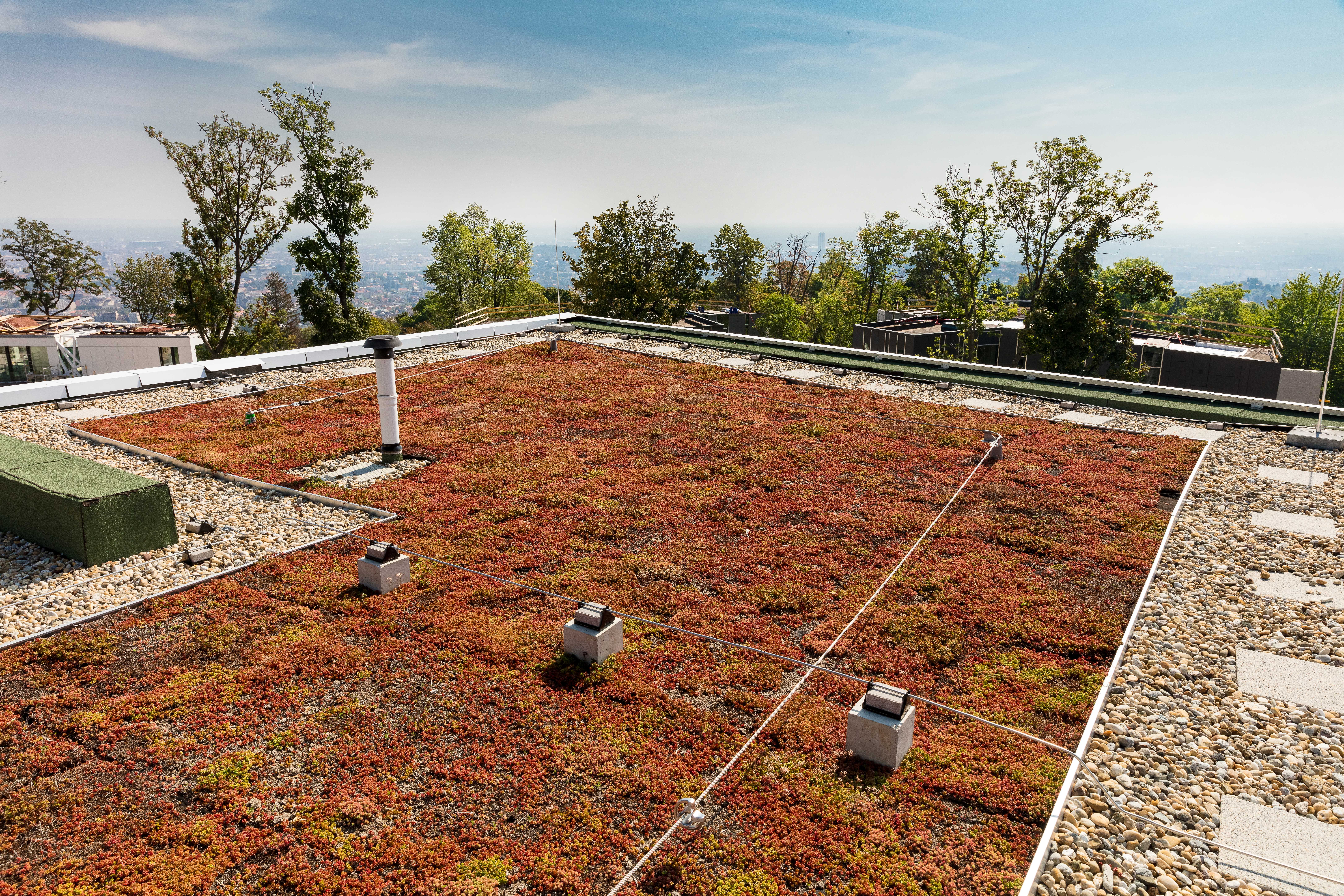 SECU® GREEN LINE