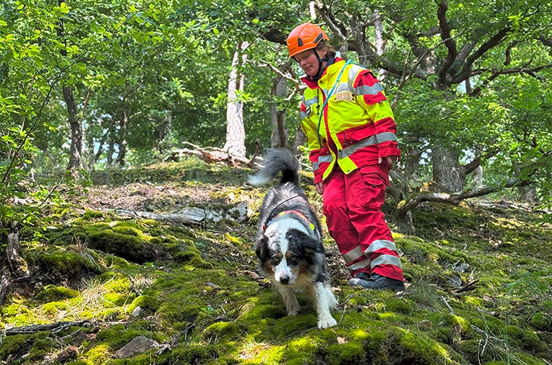 German Rescue Summer Rescue Dog Unit Karlsruhe – With Heart, Helmets and Heroism