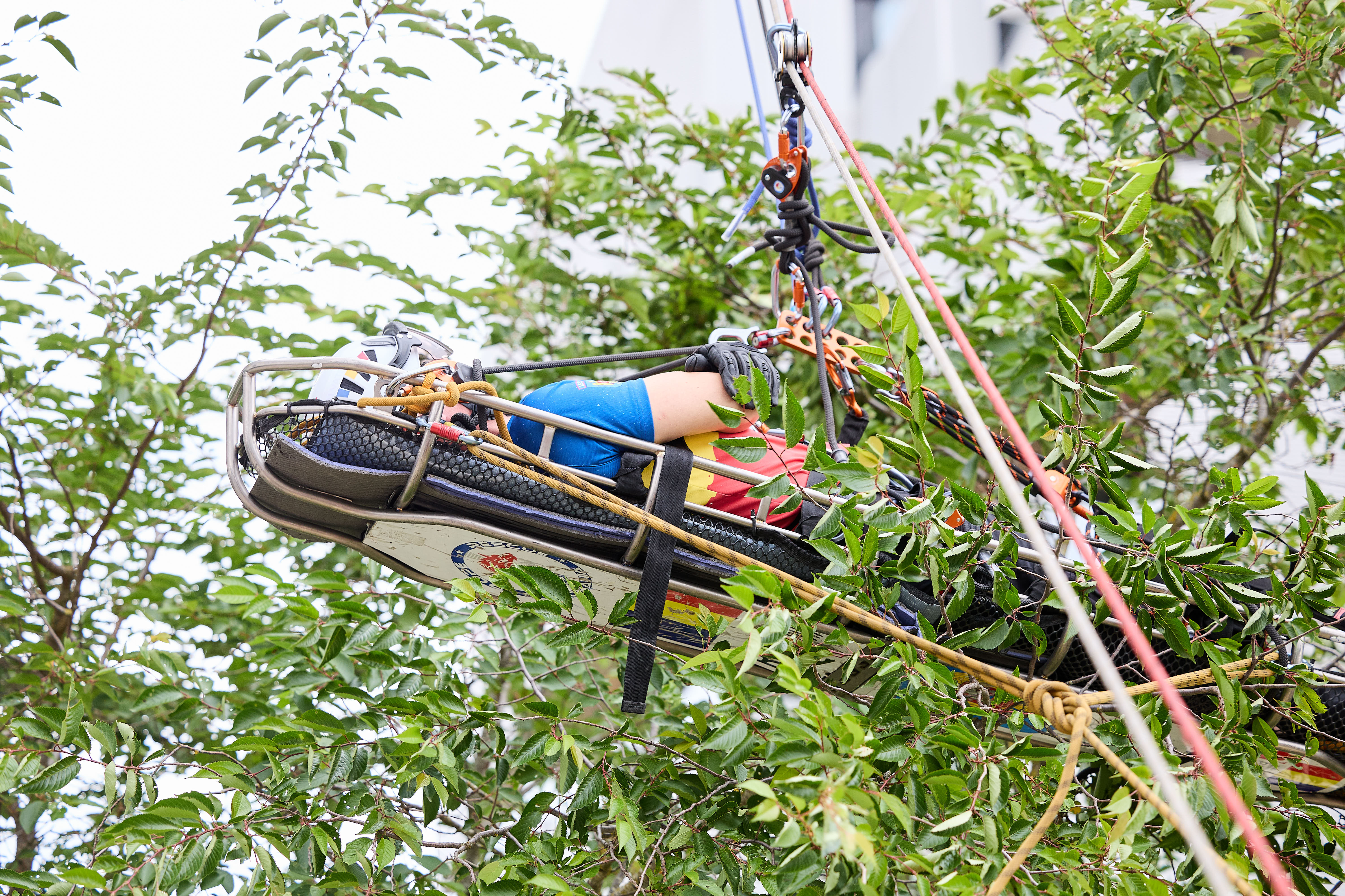 Hubschrauber-Transportkorb, Baumkletter-Platform, Kletterausrüstung, Sicherungsseil, Beweglicher Korb